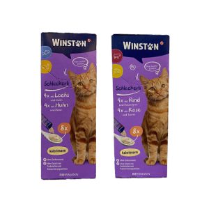 بستنی گربه وینستون