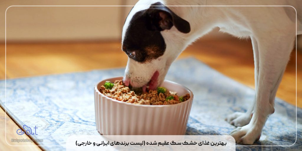 بهترین غذای خشک سگ عقیم شده (لیست برندهای ایرانی و خارجی)